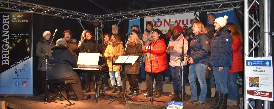 Das Bild zeigt den Briganori Chor auf dem DONwud Festival.