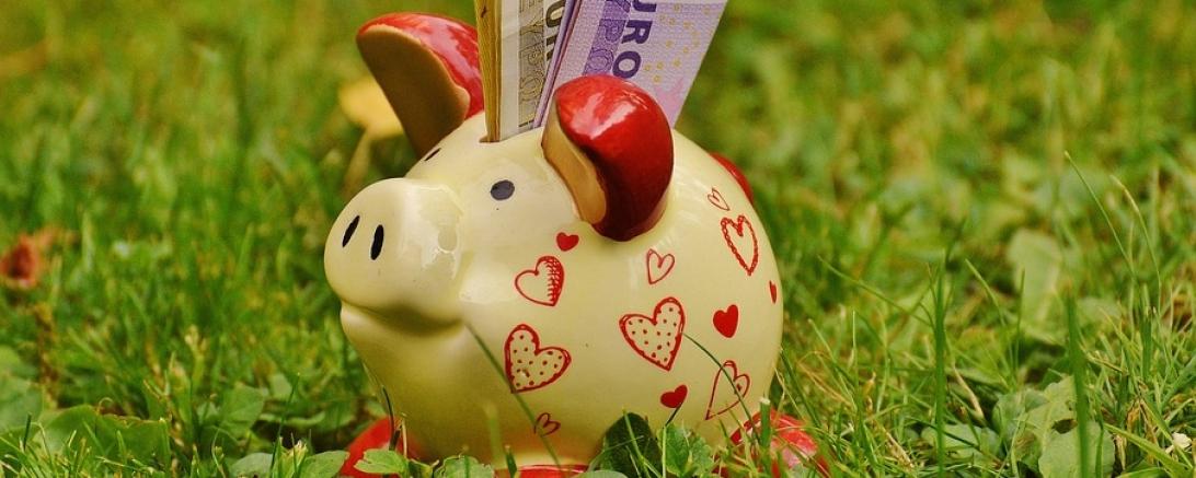 Das Bild zeigt ein Sparschweinchen