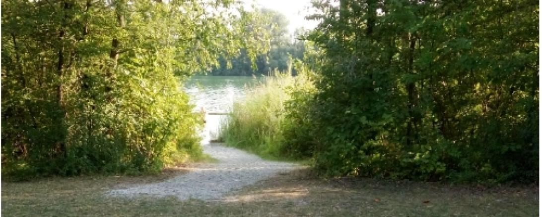 Das Bild zeigt den Riedlinger Baggersee.