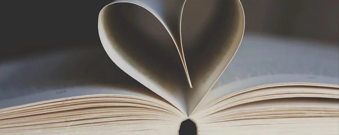 Das Bild zeigt ein Buch.