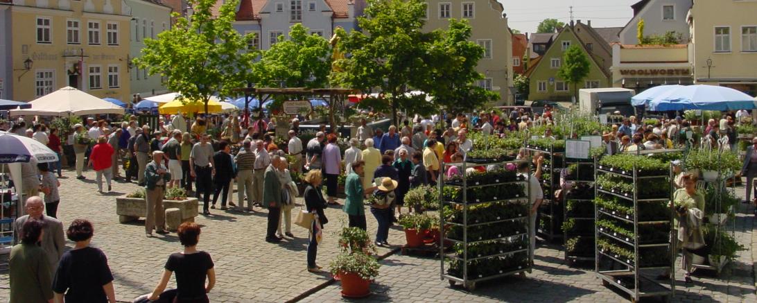 "Fuchsienmarkt" in Wemding