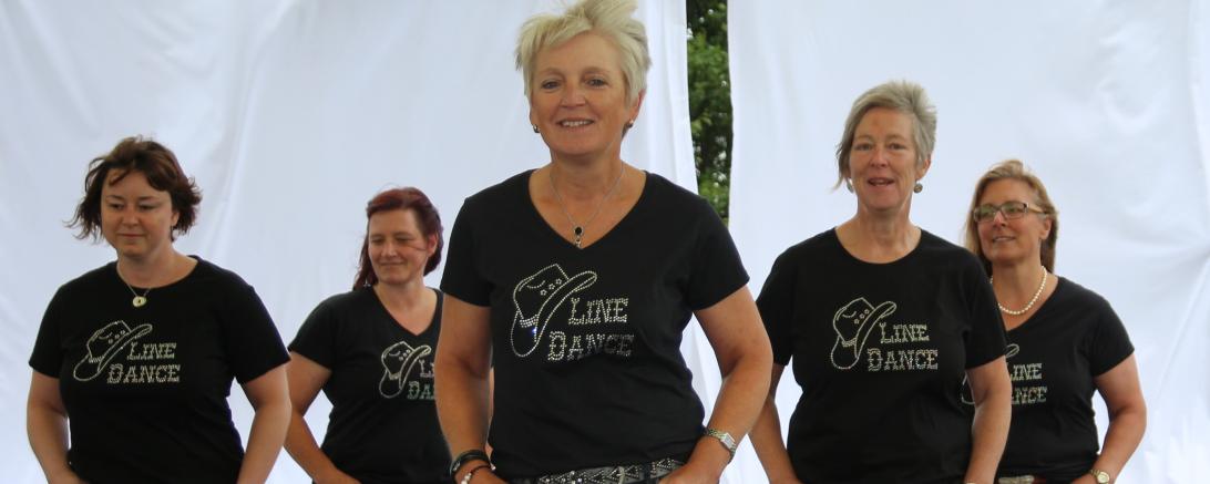 Das Bild zeigt einen Linedancekurs.