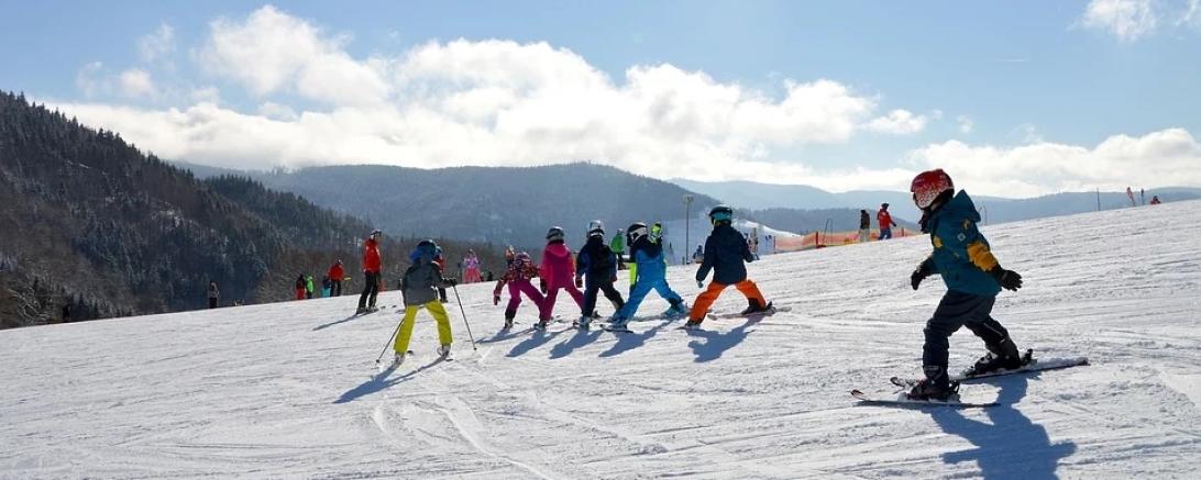 Das Bild zeigt einen Skikurs.