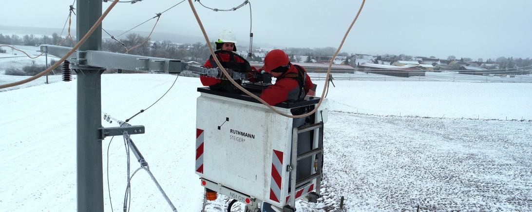 Das Bild zeigt die Montage von Vogelschutzhauben.