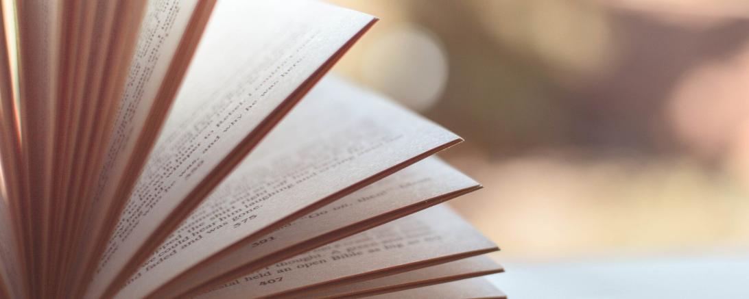 Das Bild zeigt ein aufgeblättertes Buch