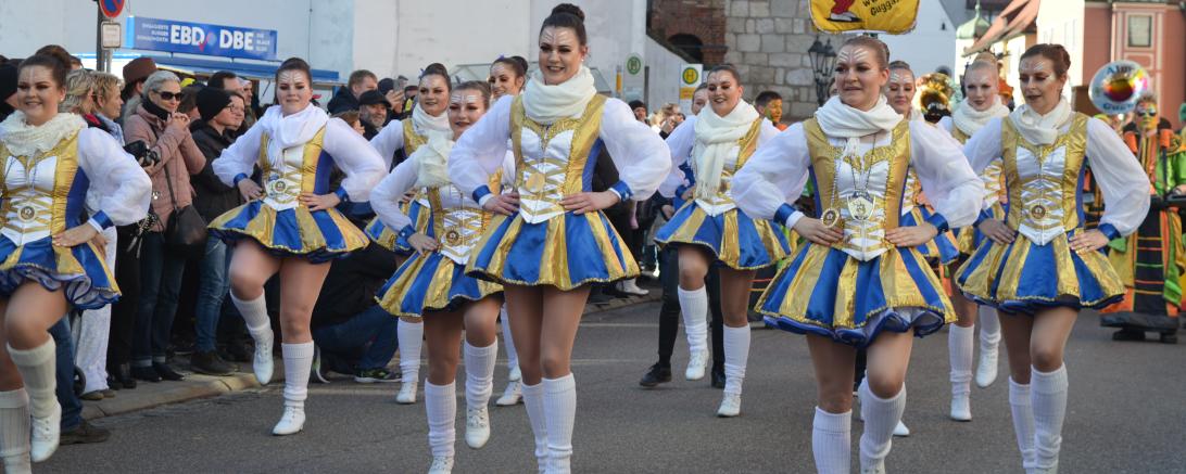 Faschingsumzug Donauwörth 2020