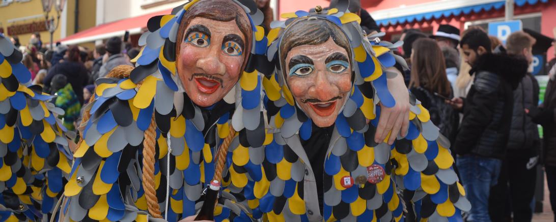 Faschingsumzug Donauwörth 2020