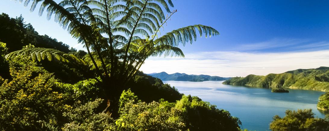 VHS-Vortag über Neuseeland von Dirk Bleyer