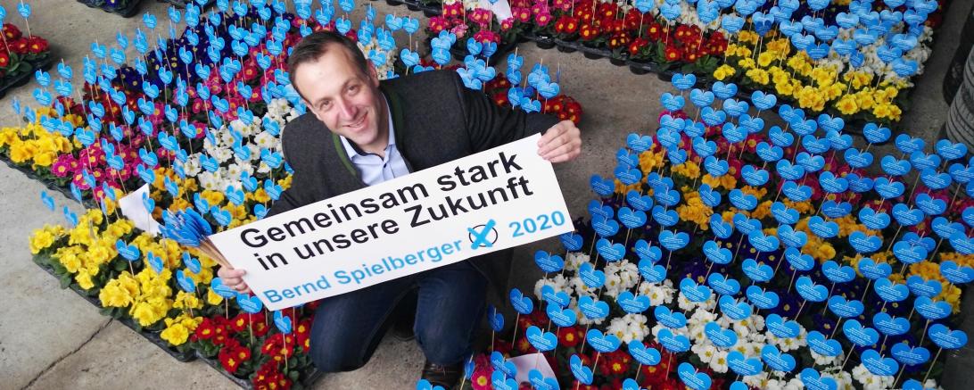 Das Bild zeigt Bernd Spielberger neben den Valentintagsprimeln. 