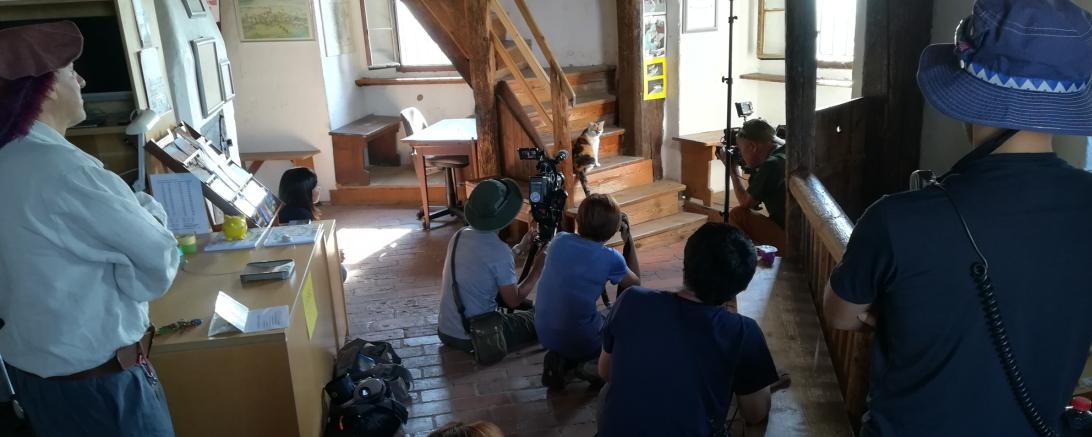 Tierfilmer mit Katze Wendelstein im Daniel