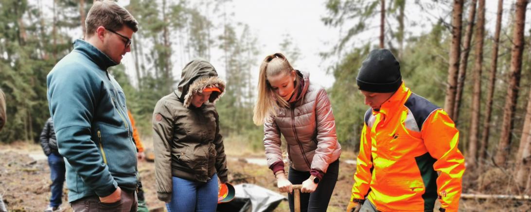 Pflanzaktion Destilla