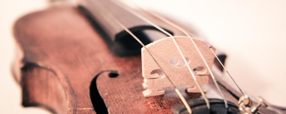 Violine