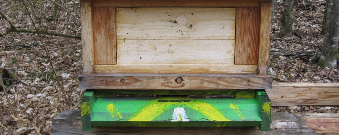 Bienenkasten