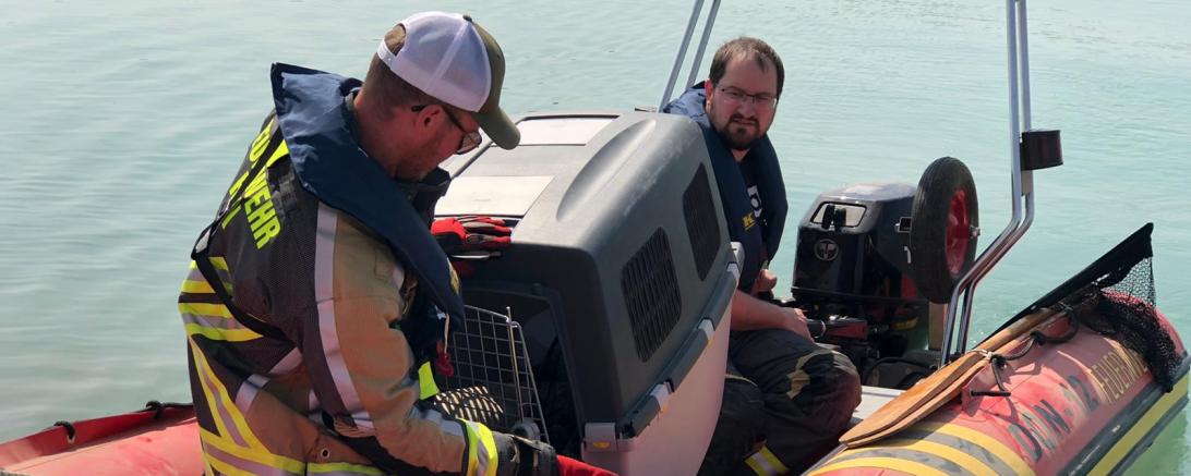 Zu einem ungewöhnlichen Einsatz rückten die Wehren aus Asbach-Bäumenheim und Rain vergangene Woche aus.