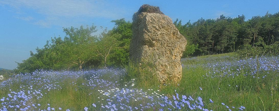 Dieses Bild einer Wiese bei Ziswingen.