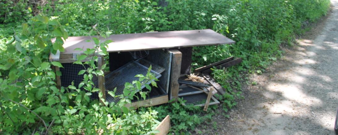 Hasenstall illegal im Wald entsorgt