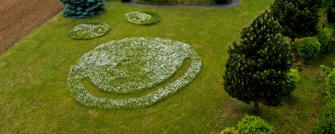 Kreative Gartengestaltung|Fremdingen|Donau-Ries-Aktuell