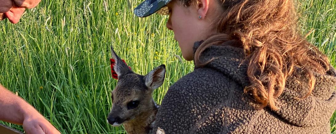 Frau mit Rehkitz im Arm