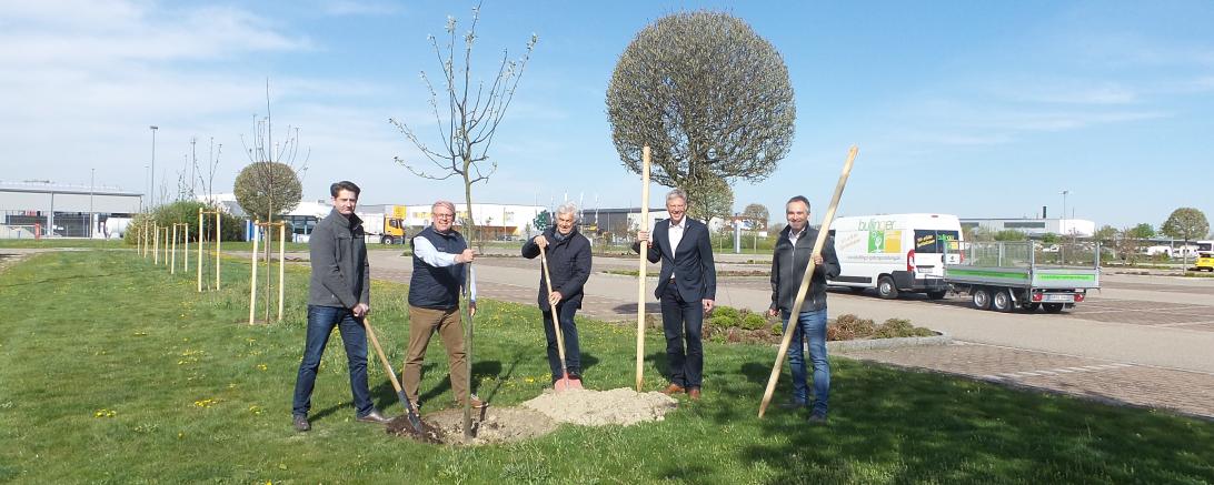 Im Zuge der Klimakrise hat sich Fendt-Caravan entschieden, das Thema „WIR pflanzen Bäume“ aktiv anzugehen. 