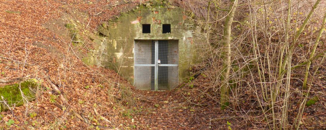 Die Gemeinde Auhausen und ihre Bürger sind sich ihrer Historie bewußt: Mit der Sanierung der ehemaligen Prälatur und des Braukellers werden zwei große und dringend anzugehende Projekte auf den Weg gebracht.
