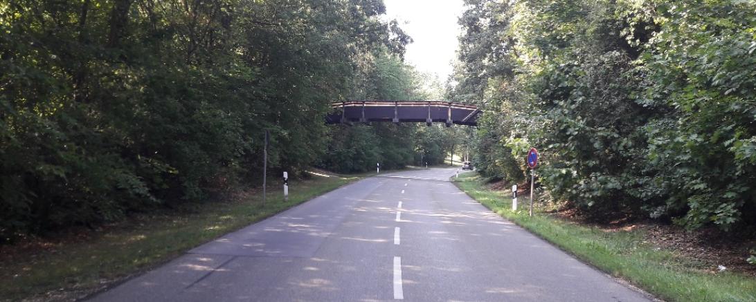 Holzbrücke über eine Straße, links und rechts Bäume