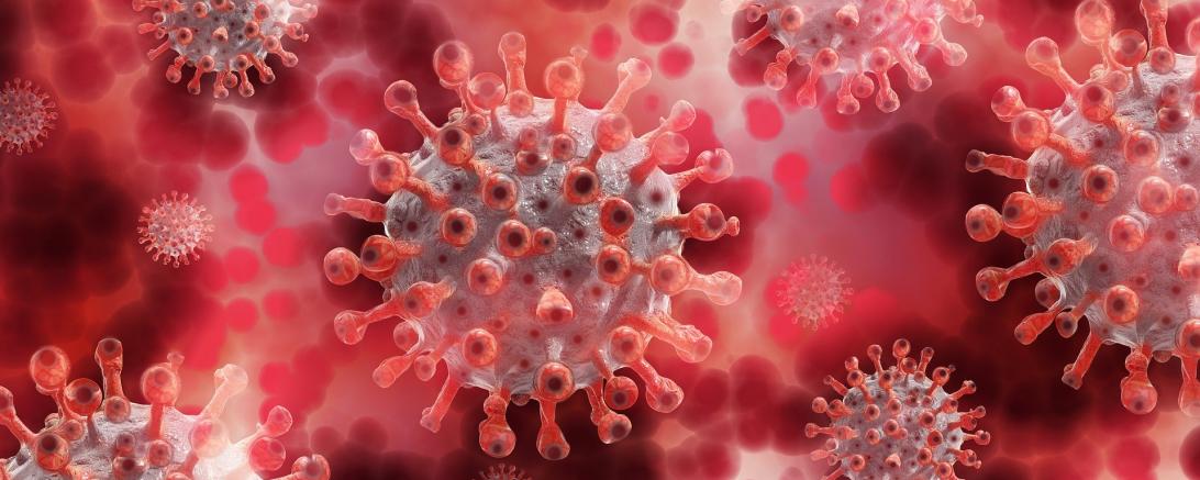 Symbolbild: Corona-Virus