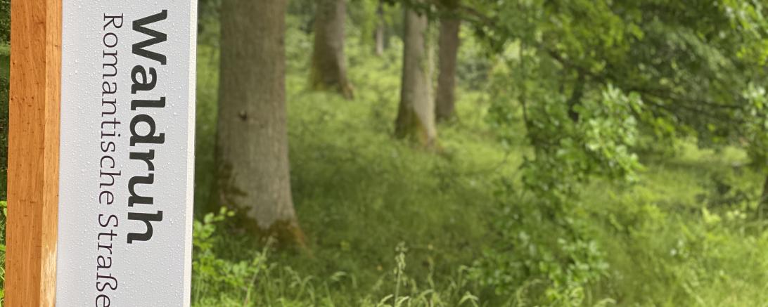 Waldruh Naturbestattung