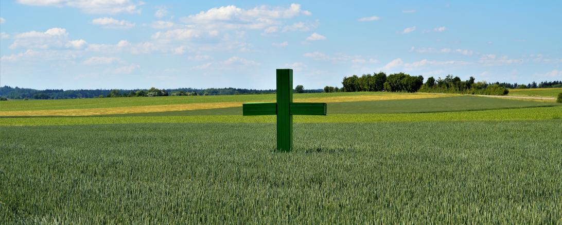 Grüne Holzkreuze stehend mahnen auch auf Äckern im Landkreis Donau-Ries. Landwirte machen so auf ihre Situation aufmerksam. 