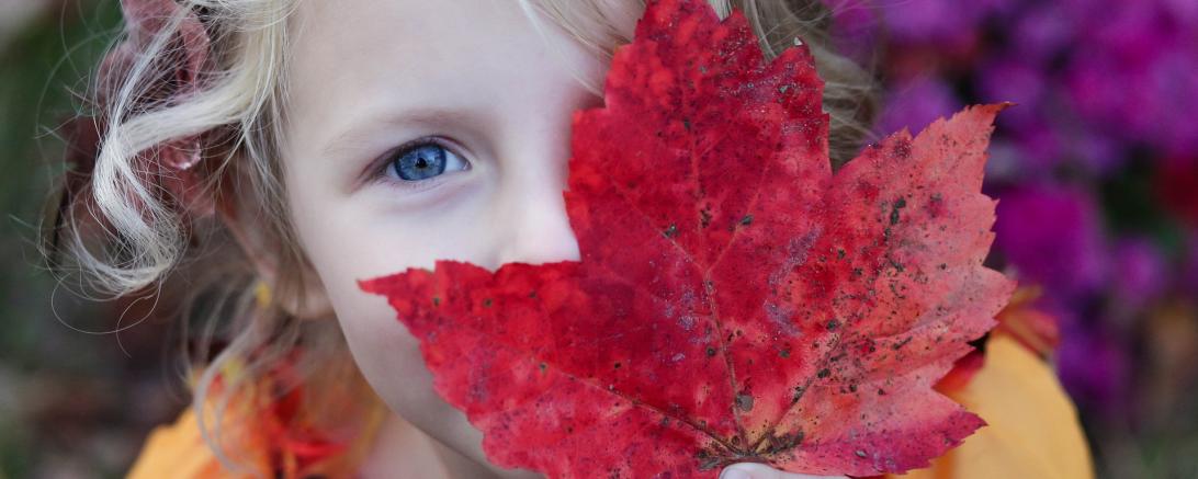 Mädchen mit rotem Ahornblatt vor dem Gesicht