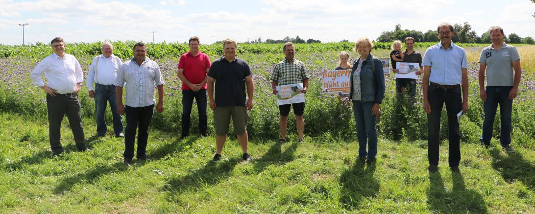 Landwirte, Blühpaten und Vertreter des Bayerischen Bauernverbandes trafen sich in Heuberg an einer Wiese, auf der Phacelia in voller Blüte steht. 