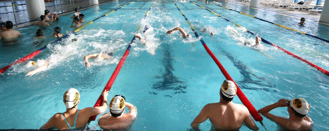 Menschen schwimmen in einem Hallenbad