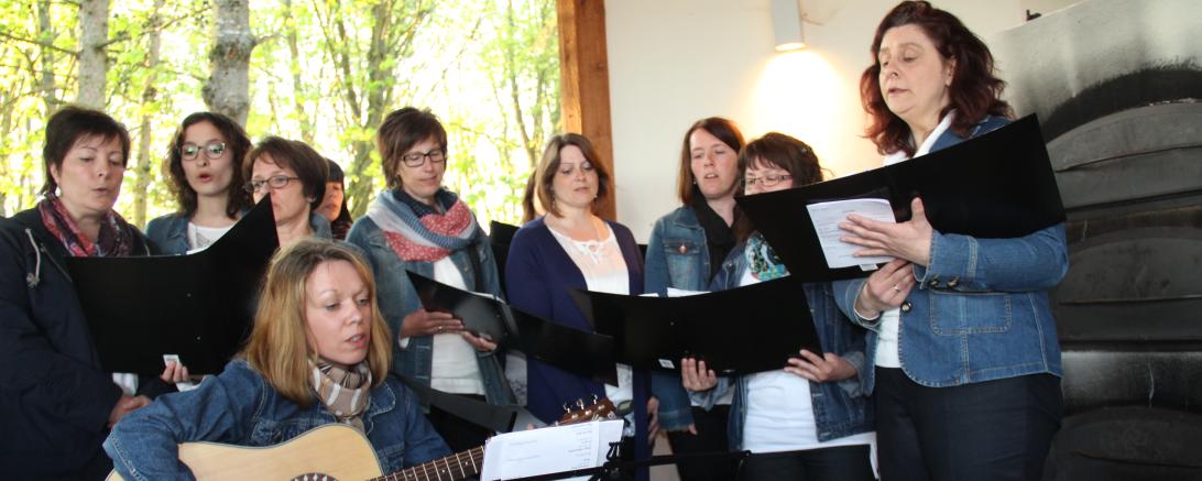 Zu einem besonderen Picknick lädt das B+ Kultur-Team an den fünf Sonntagen im August nach Blossenau ein. 