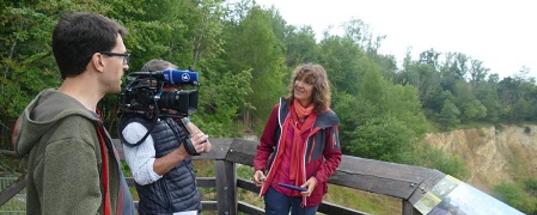 Suche nach Leben auf dem Mars