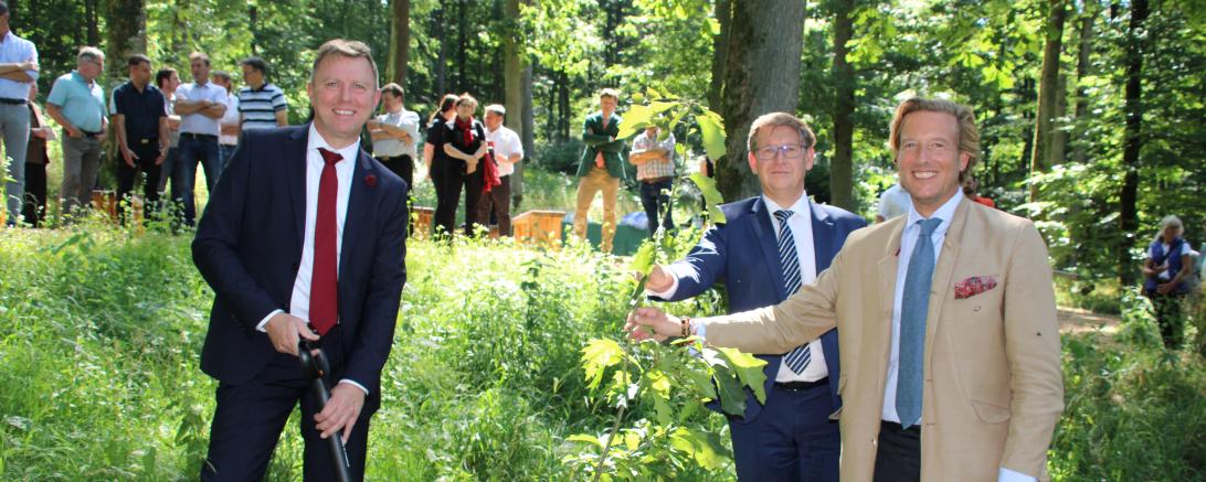 Merkt, Rößle und Erbprinz mit Baum im Wald