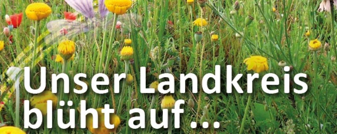 Blumenwiese mit Schriftzug "Unser Landkreis blüht auf"