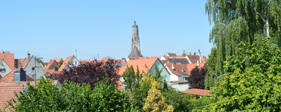 Der Daniel in Nördlingen