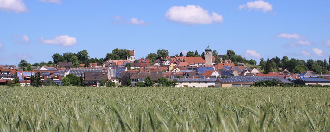 Ortsansicht Marktoffingen hinter Weizenfeld