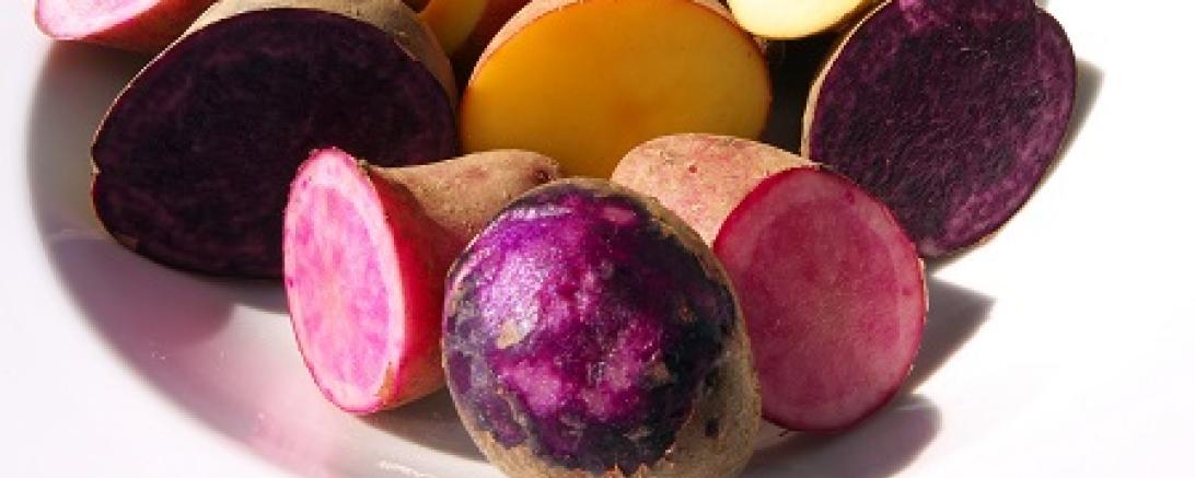 Museum KulturLand Ries Maihingen