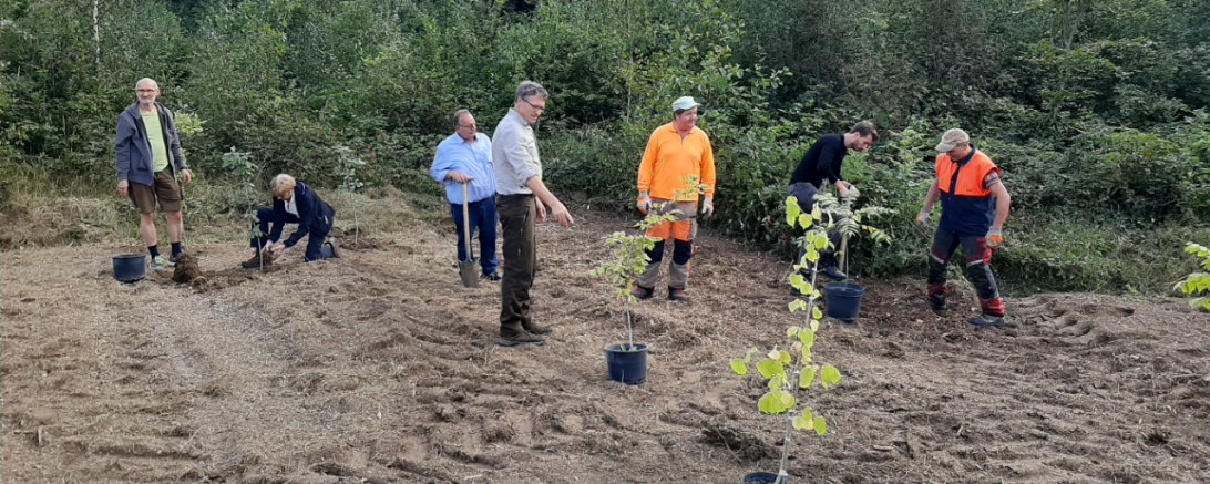 Das Bild zeigt den Stadtrat bei der Baumpflanzung