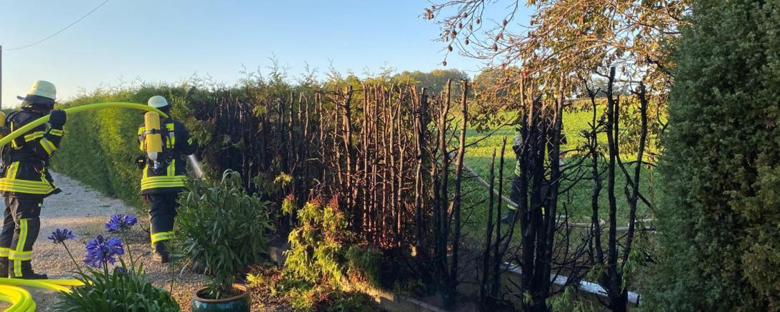 BRennende Hecke