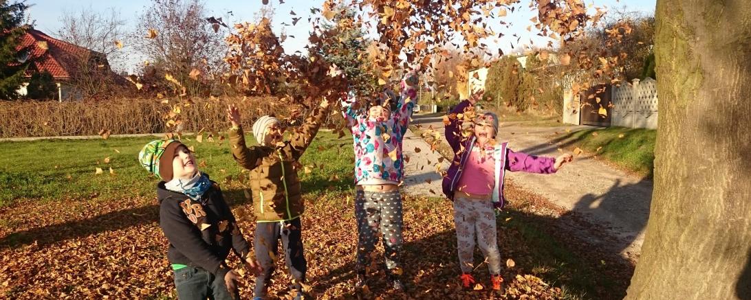 Das Bild zeigt vier Kinder im Laub spielen.