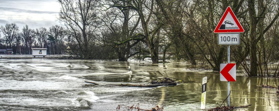 Überschwemmte Straße mit Verkehrszeichen, im Hintergrund blätterlose Bäume