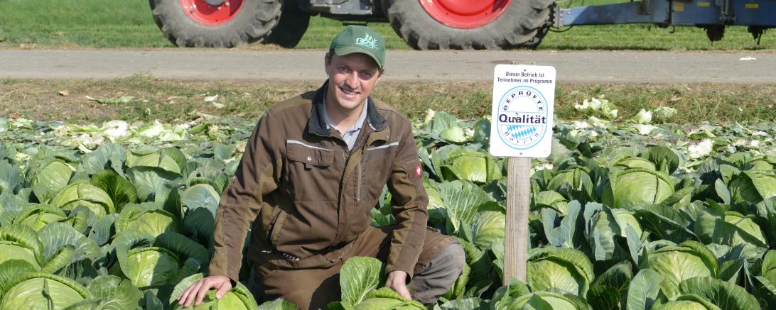 Landwirt Florian Wiebel baut auf circa 10 Hektar Weißkraut in Hamlar an. Auf weiteren 90 Hektar baut er Unter anderem Dinkel, Weizen oder Zuckerrüben an. 