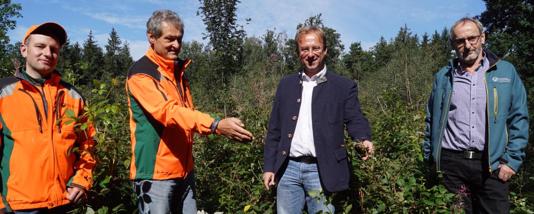 Vier Männer stehen im Wald