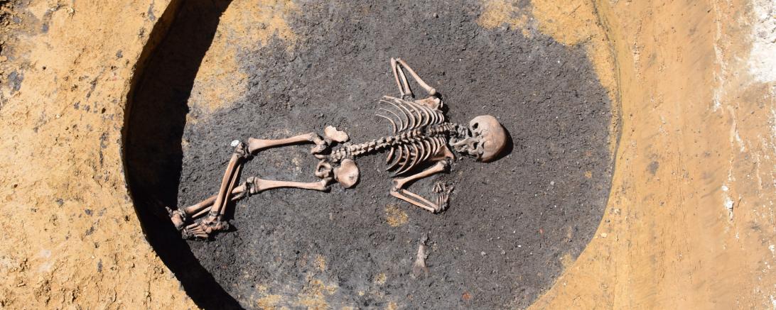 Skelett in kreisrundem, flachem Loch in der Erde