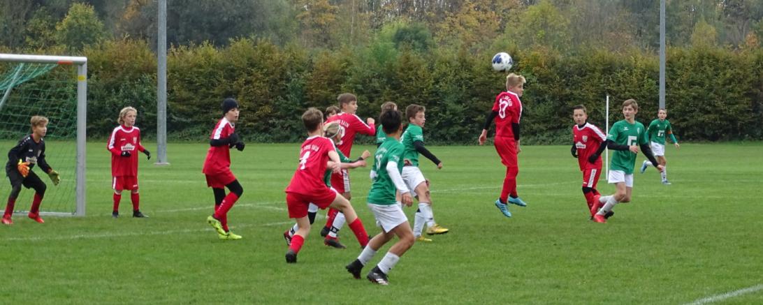 Die U13 Mannschaft des TSV Rain
