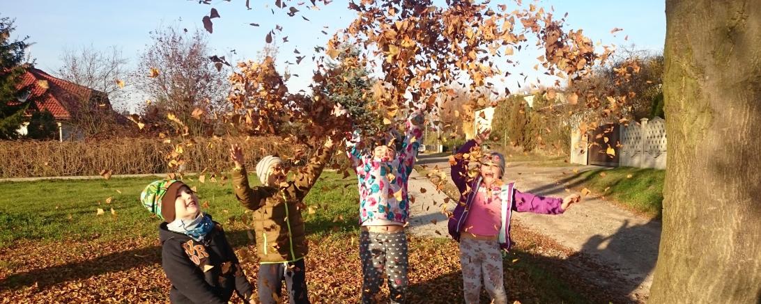 Das Bild zeigt Kinder im Laub spielen