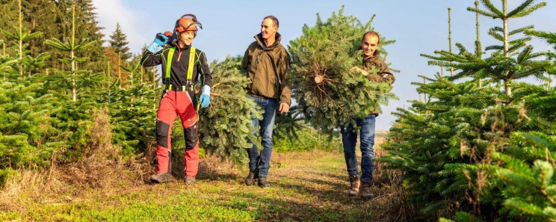 Das Bild zeigt Karl Stoll in Action.