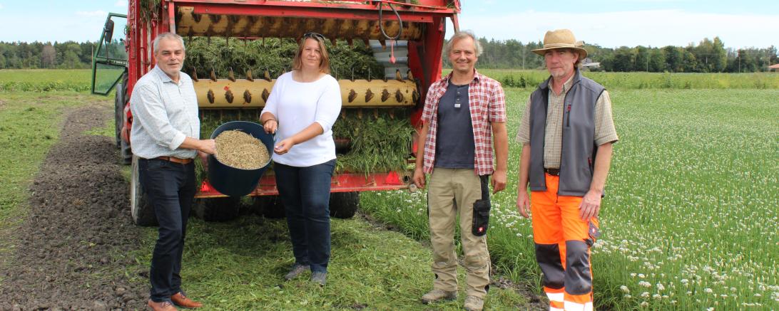 Insgesamt sechs Ackerrandstreifen wurden auf Ackerflächen im Eigentum der Gemeinde Oberndorf durch Mähgutübertragung angelegt. Von links nach rechts: Bürgermeister Franz Moll, Geschäftsführerin des Landschaftspflegeverbands Donau-Ries e.V. Nadine Kühnert, Landwirt Klaus Hafner und Bauhofmitarbeiter Bernd Lier.