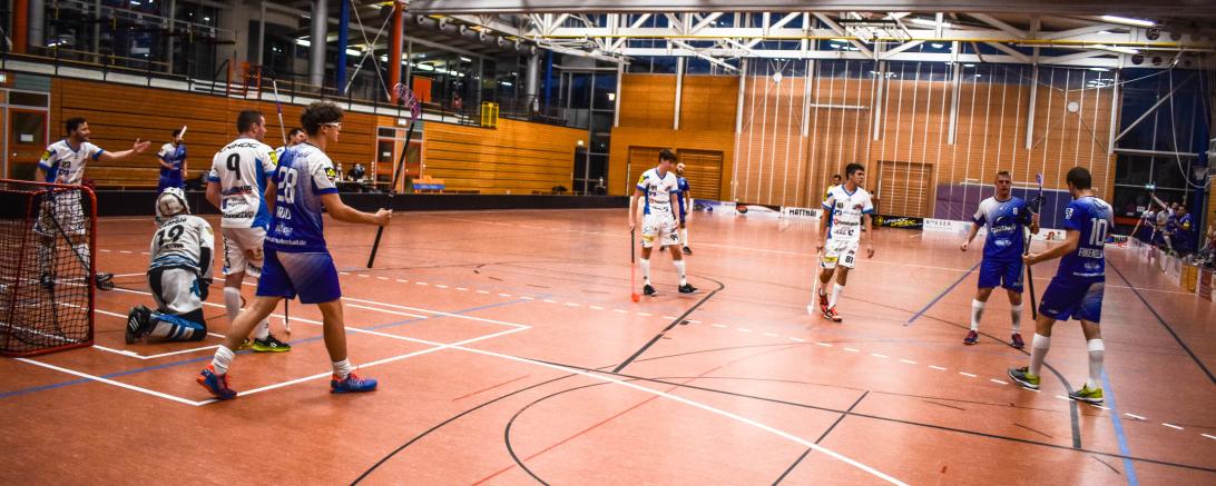 Das Bild zeigt die Donau Floorball gegen Rennsteig Avalanche 